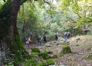 La Sauceda-Sierra del Aljibe